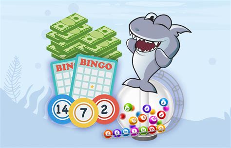 Bingo: Etsi parhaat nettibingosivustot ja bingobonukset 2024.